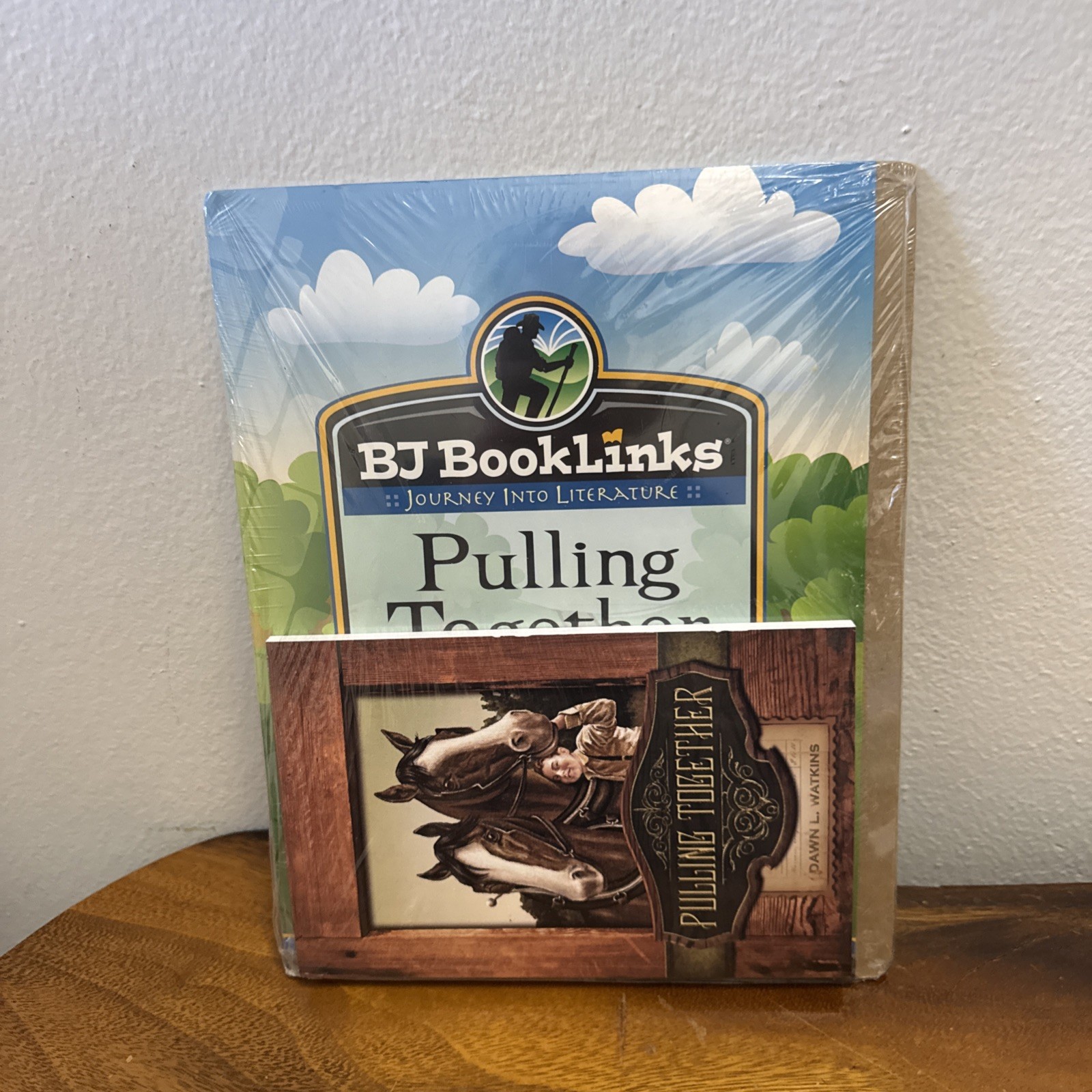 BJ BookLinks: Pulling Together Set Guide & Novel Homeschool Book 2nd Grade