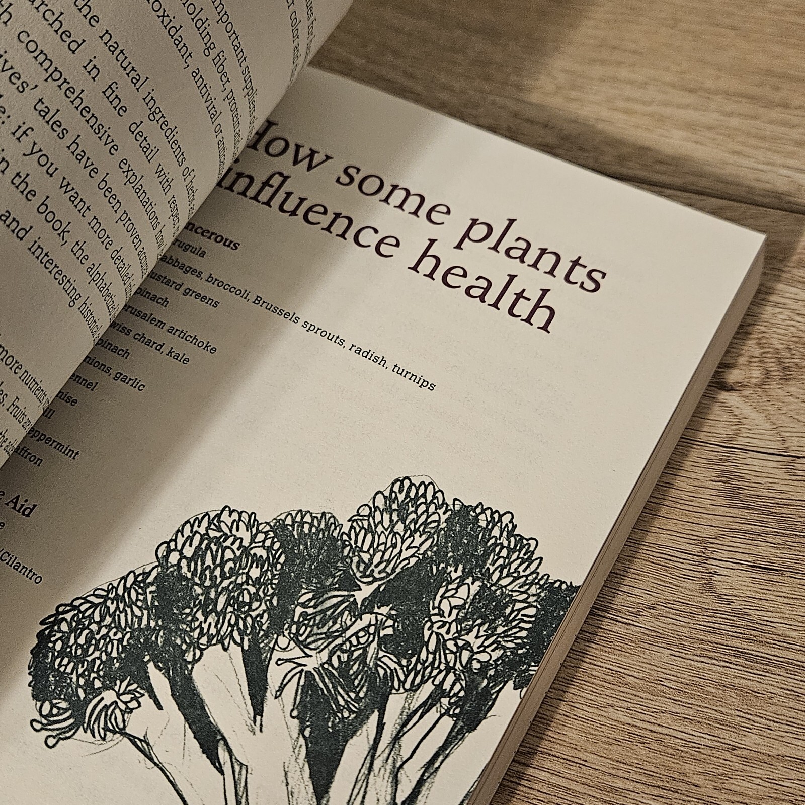 Shamanic Gardening Book – Timeless Techniques Sustainable Melinda Joy Miller
