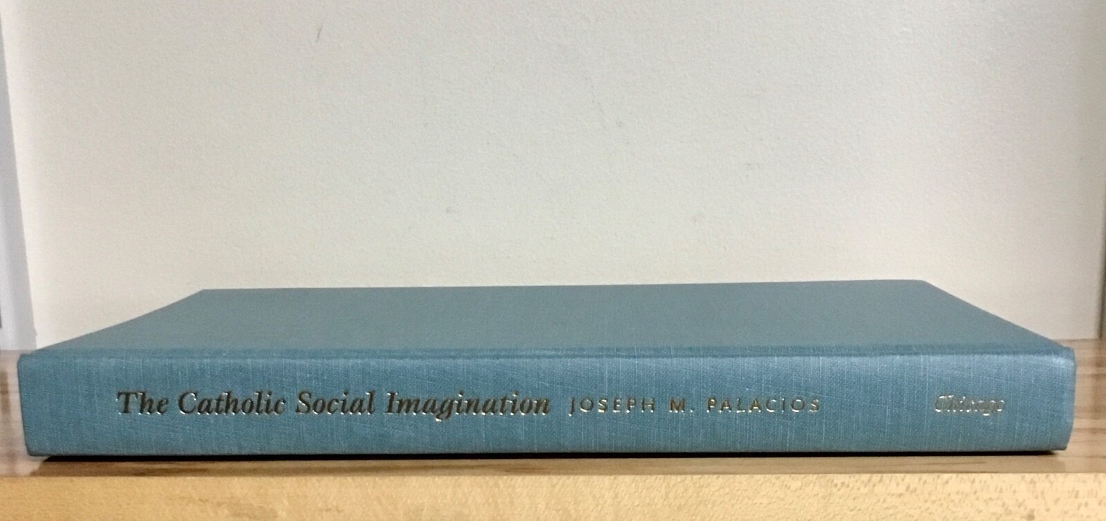 Catholic Social Imagination Activism Mexico US by Palacios 2007 Hardcover