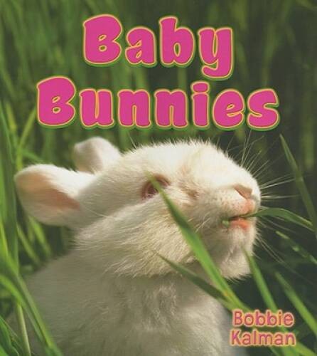 Baby Bunnies (It’s Fun to Learn about Baby Animals (Paperback)) – GOOD