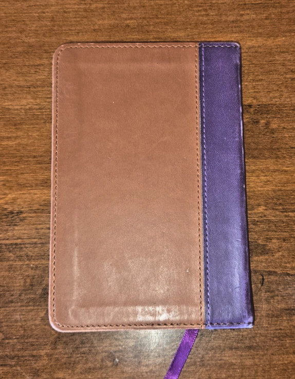 David Jeremiah JOURNEY ‘Your Daily Adventure With God’ Faux Leather Bound 2011
