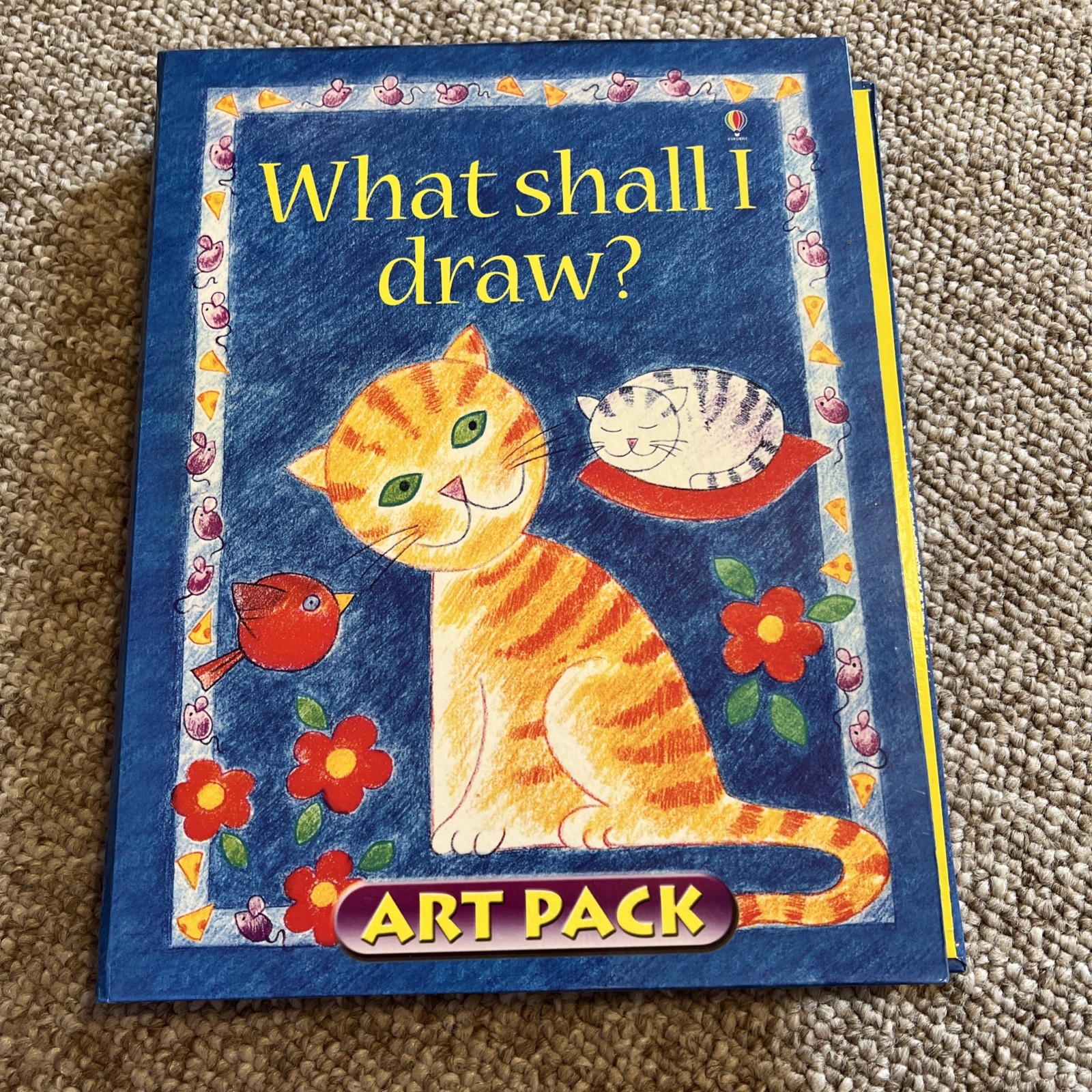 What Shall I Draw? Art Pack by Ray Gibson (2006, Kit)