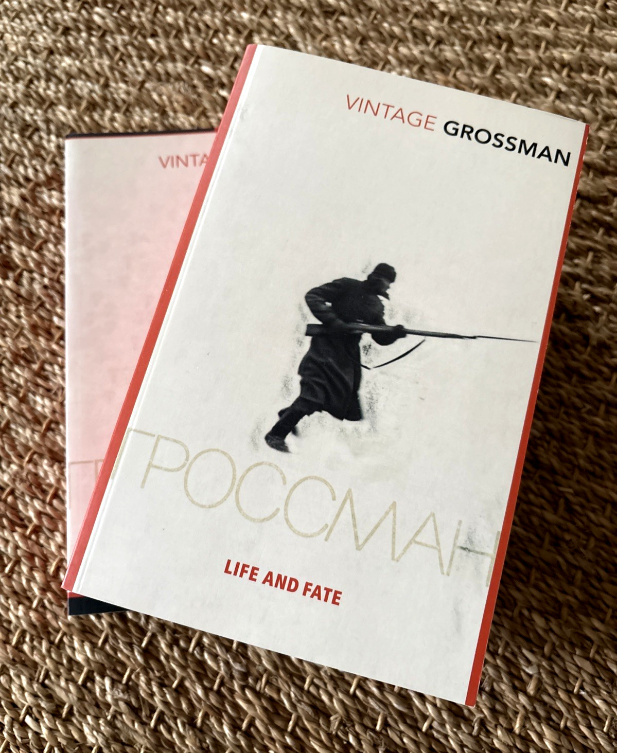 VASILY GROSSMAN: Life And Fate, Everything Flows, LN, Vintage Books – rare copi