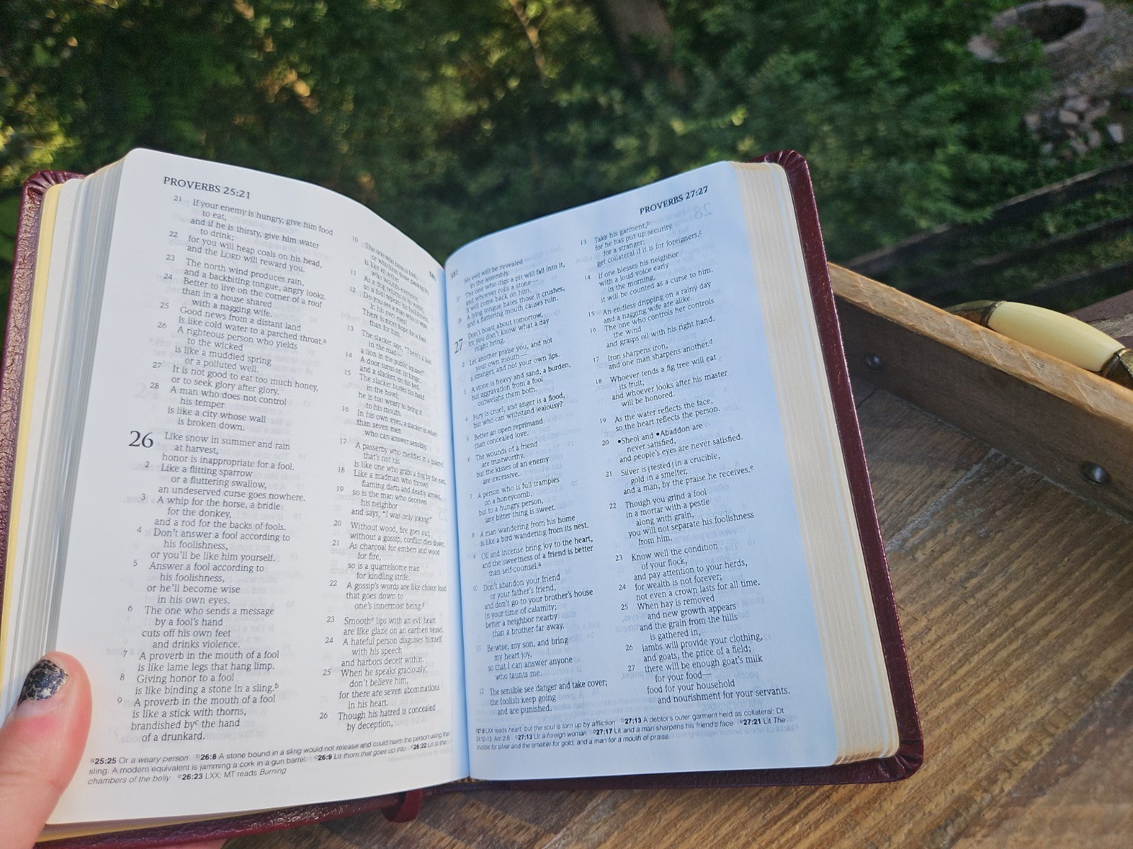 OOP HCSB Pocket-Size Bible Burgundy Bonded Leather with original box & magnifier