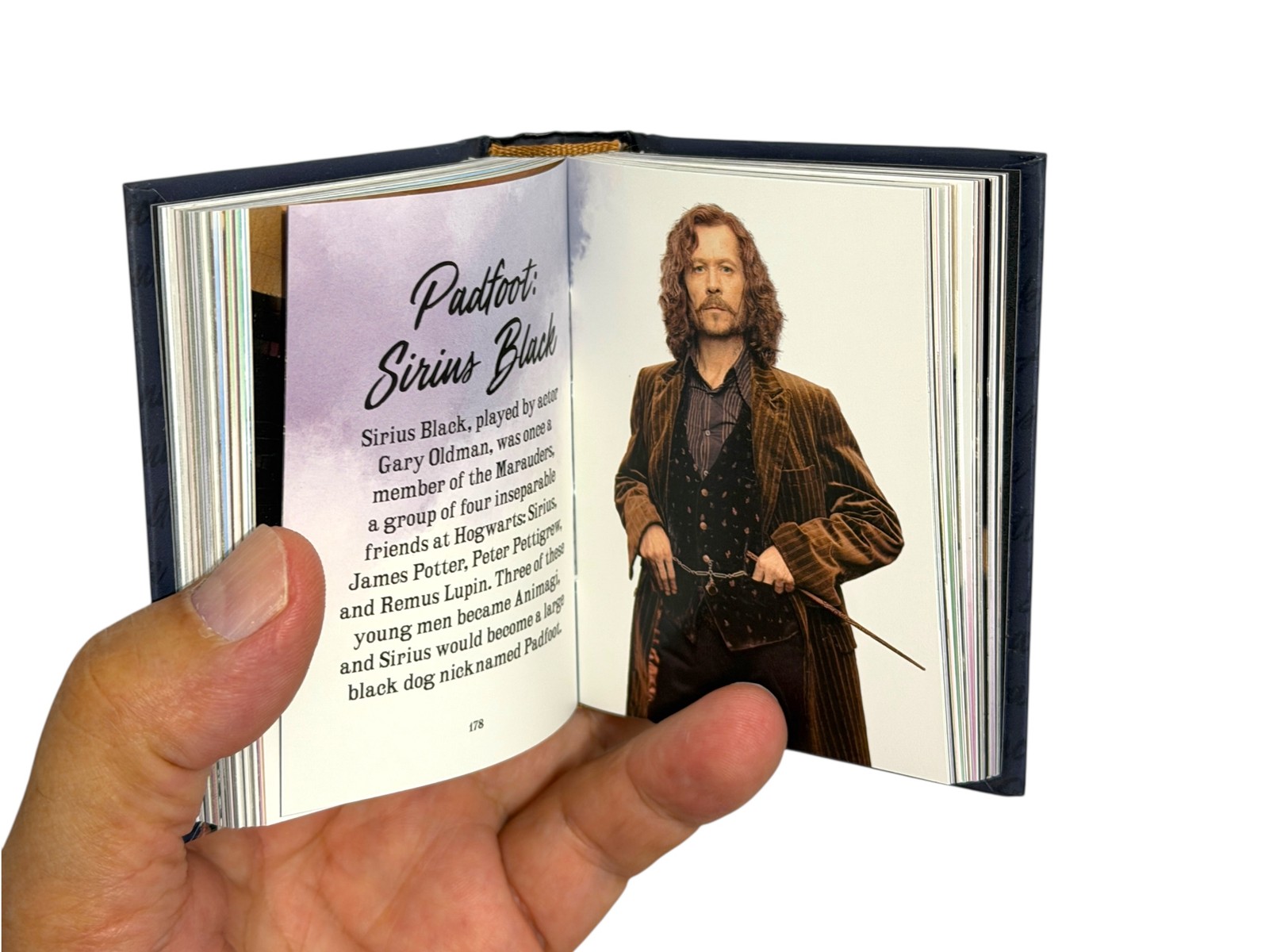 From the Films of Harry Potter The Mini Book of Characters Hardcover 304 pages
