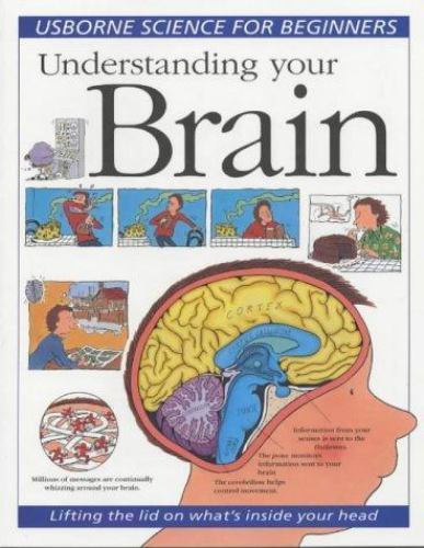 Understanding Your Brain (Science for Beginners Series) by Rebecca Treays