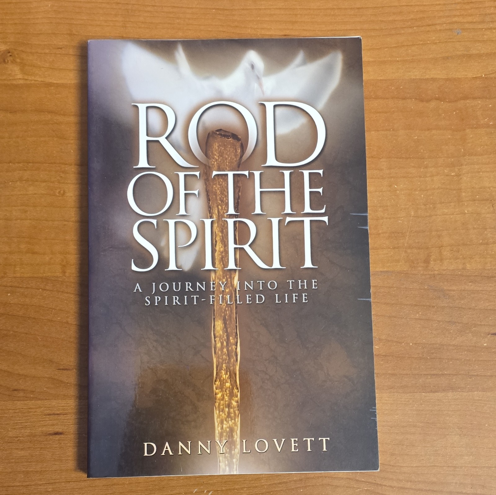Rod of the Spirit Danny Lovett Paperback English 21st Century Press Holy Spirit