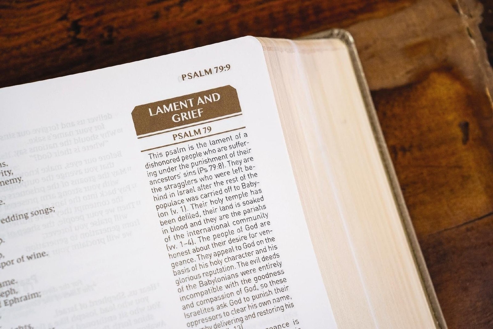 NIV, Upside-Down Kingdom Bible, Leathersoft, Tan, Comfort Print: Think Deeply…