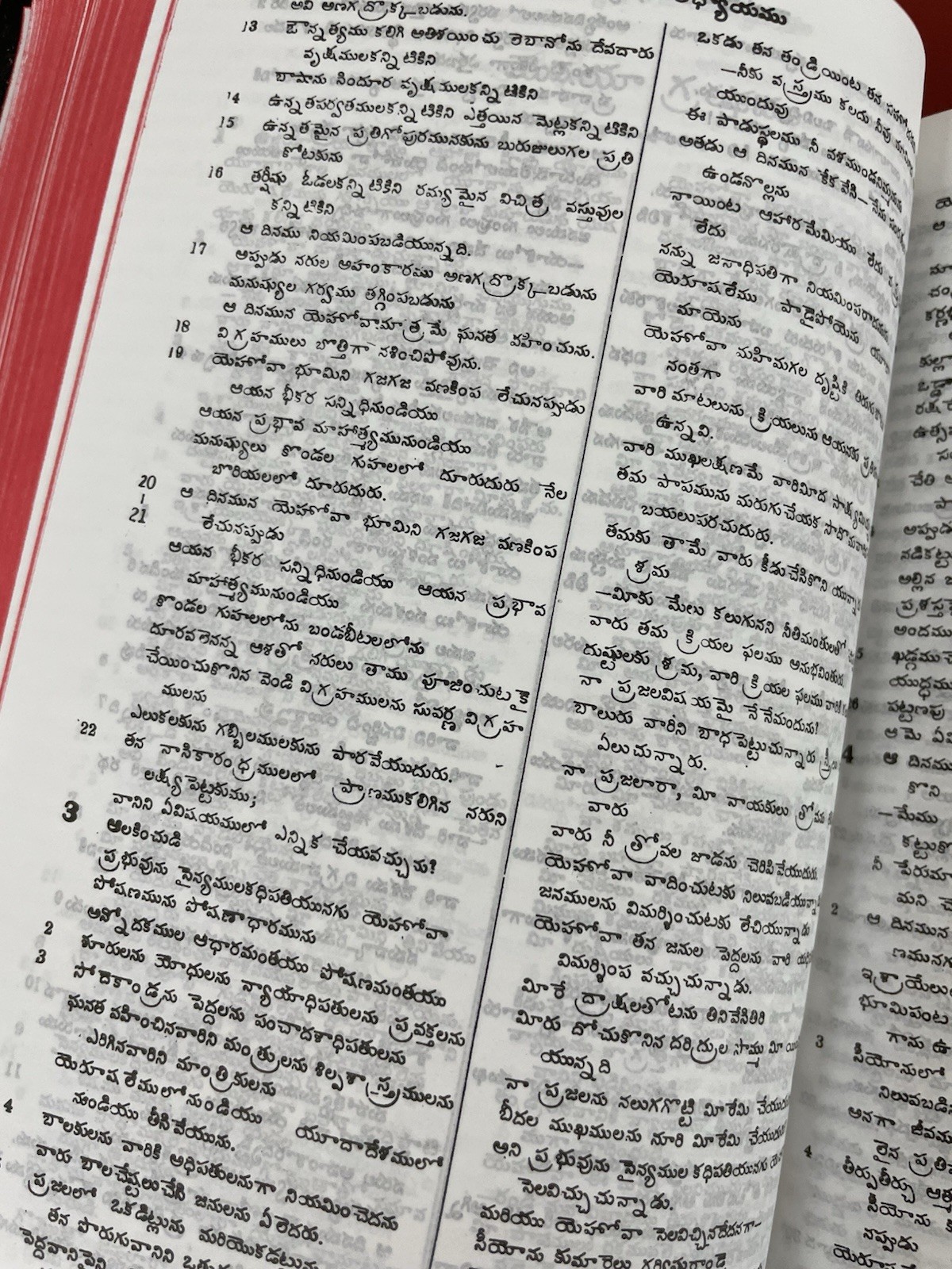 Telugu Bible The Holy Bible Bible Society Of India Telugu OV Vinyl Flex BSI 2006