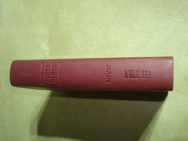 Zondervan New International Version NIV Compact BIBLE Burgundy Duo-Tone 2011