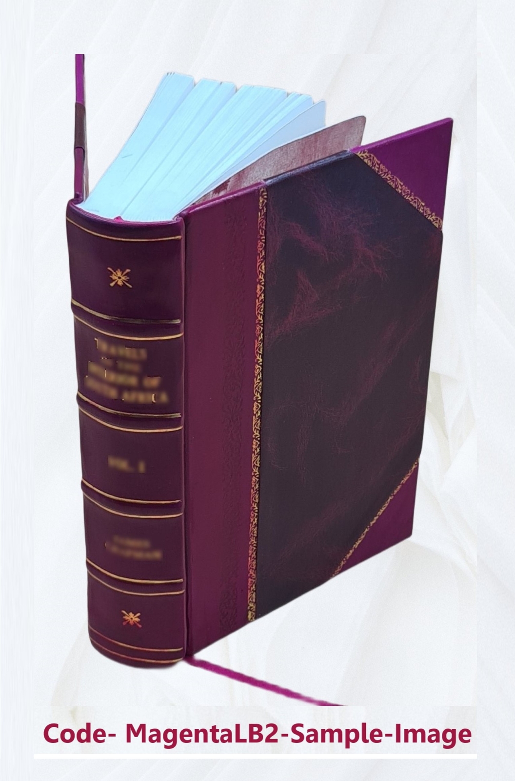 Regula Placitandi: A Collection Of Special Rules For Pleading Fr [Leather Bound]