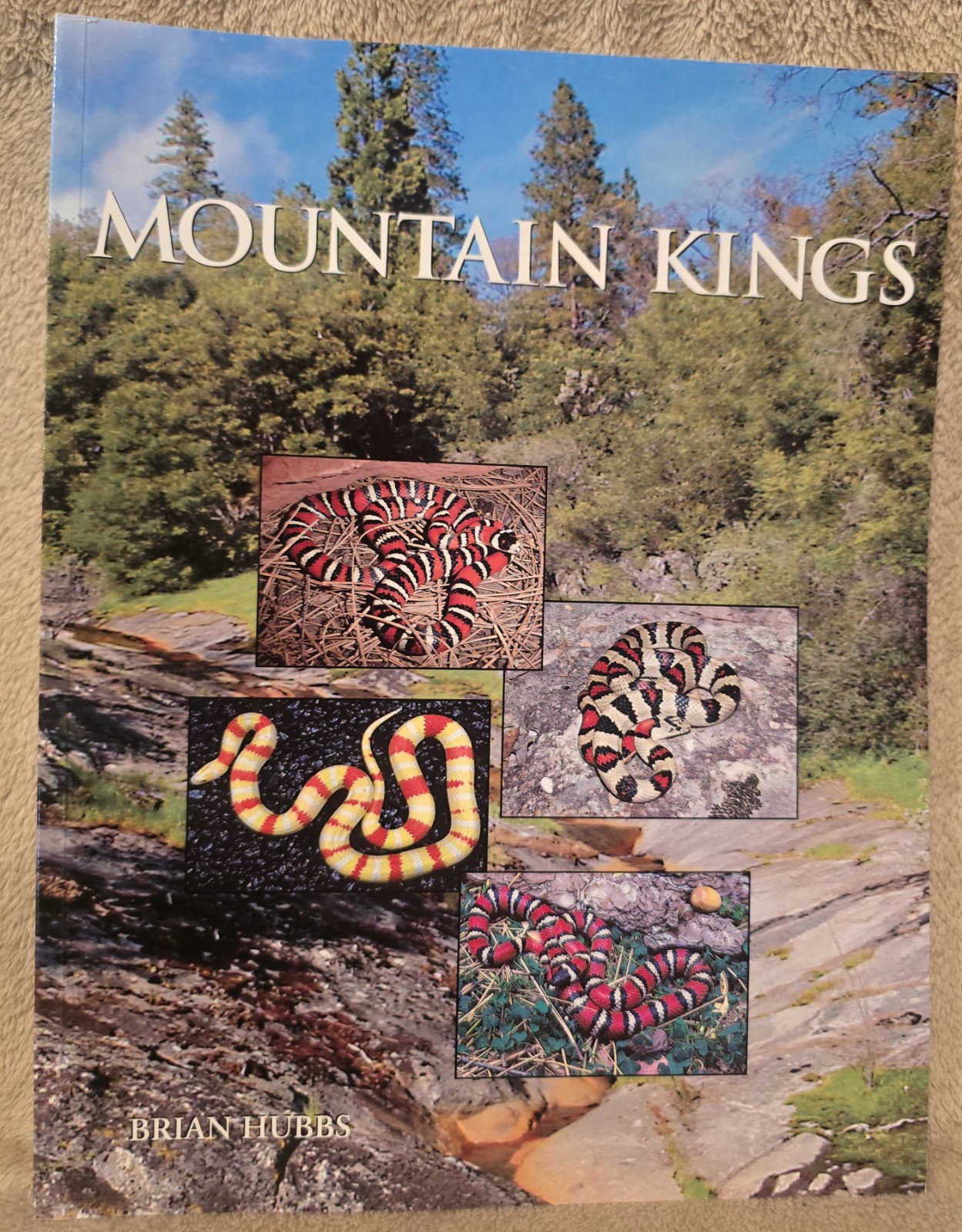 Mountain Kings: Brian Hubbs. “OUT OF PRINT” Brand NEW!!!