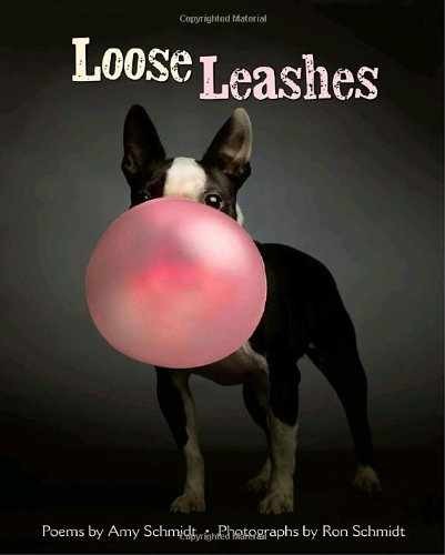 Loose Leashes – Hardcover, by Schmidt Amy – Very Good