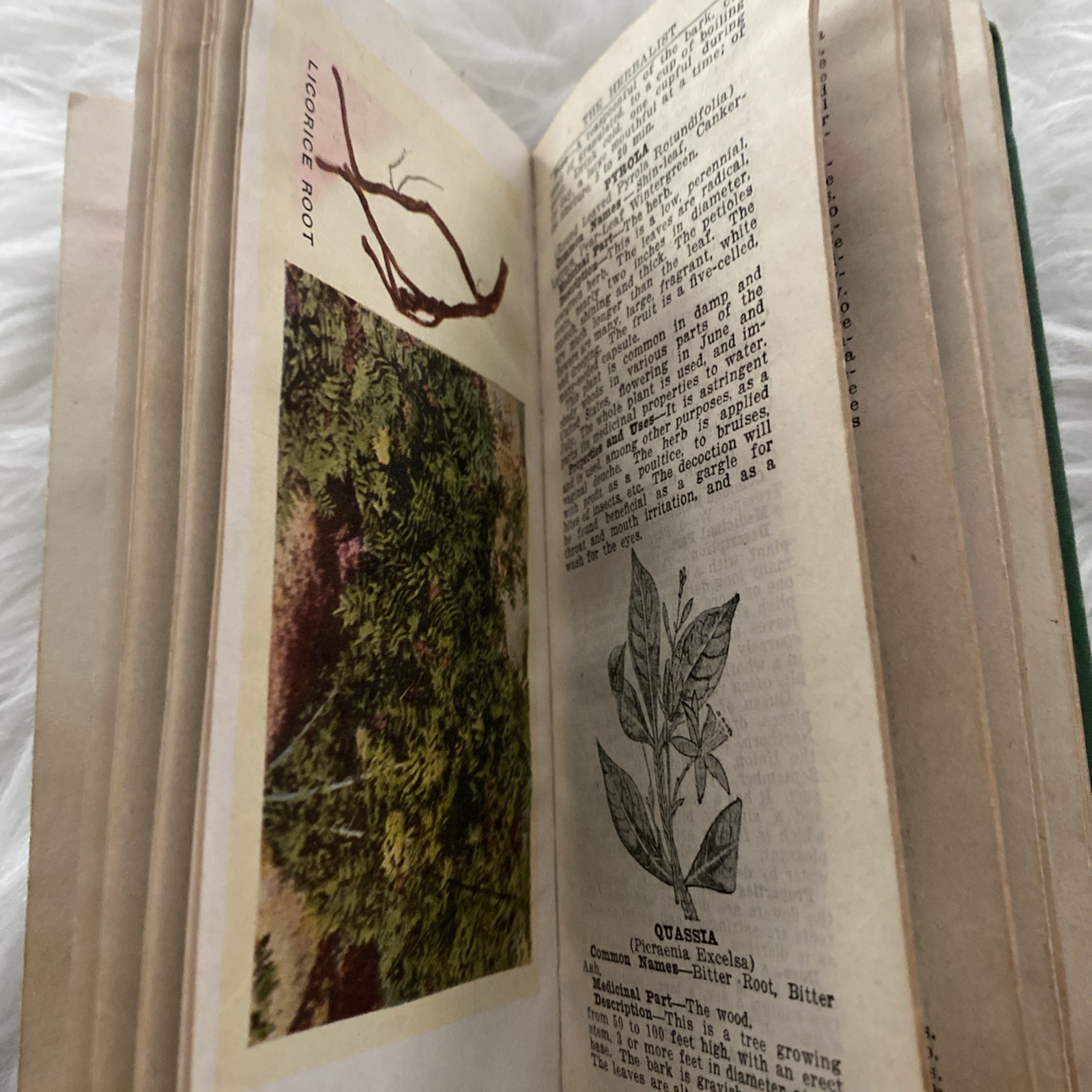 The Herbalist 1934 Joseph E. Meyer Green Hardcover Color Plates Illustrated