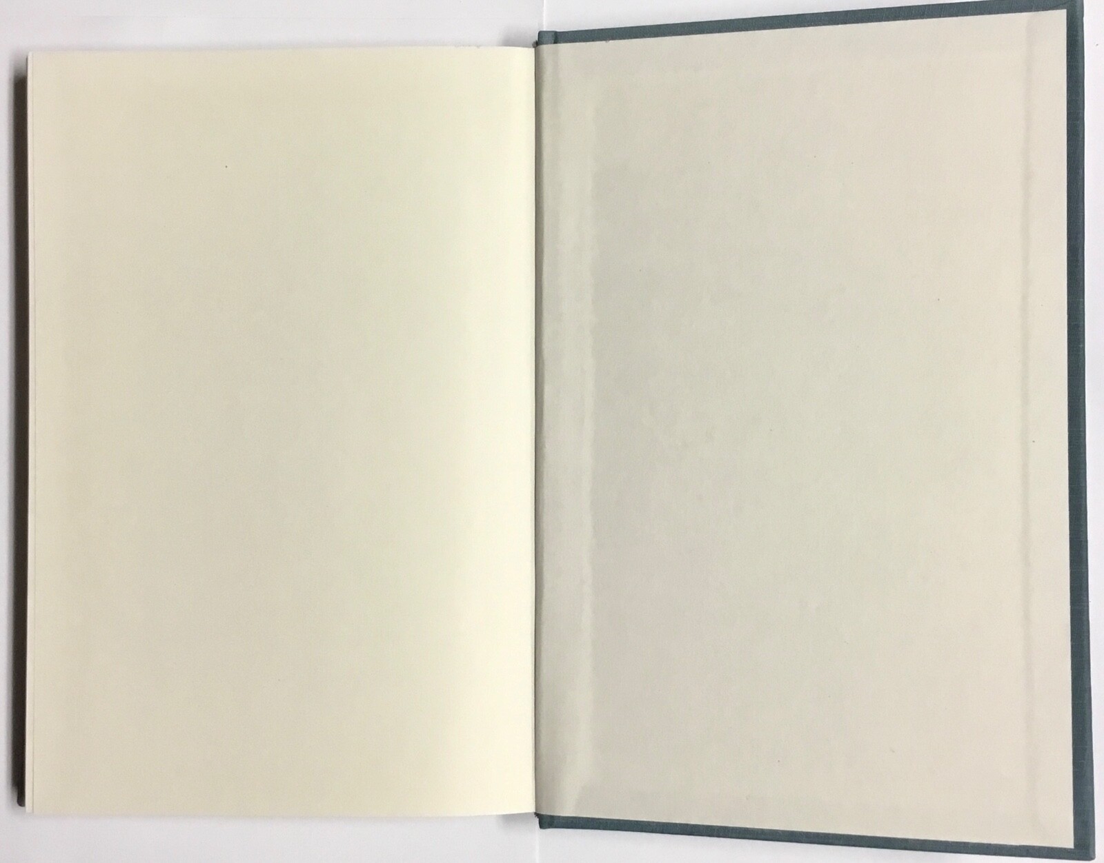 Catholic Social Imagination Activism Mexico US by Palacios 2007 Hardcover