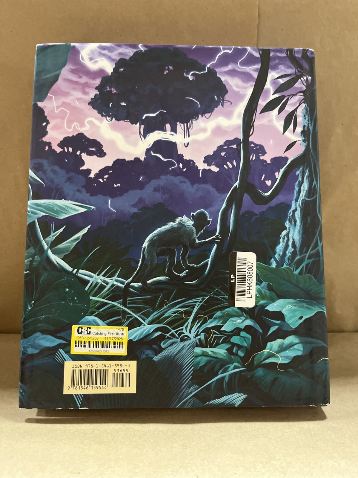 Suzanne Collin’s: Catching Fire Illustrated Edition USED HC SEE DESCRIPTION