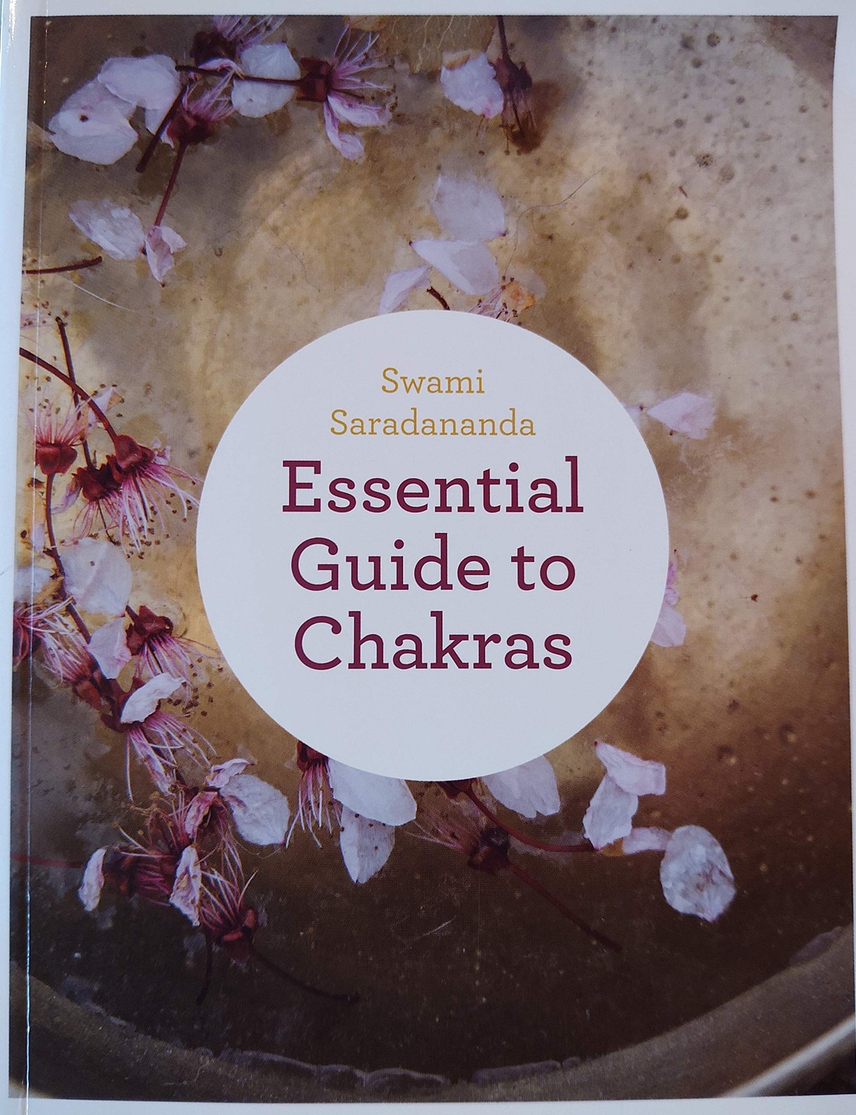 Essential Guide to Chakras