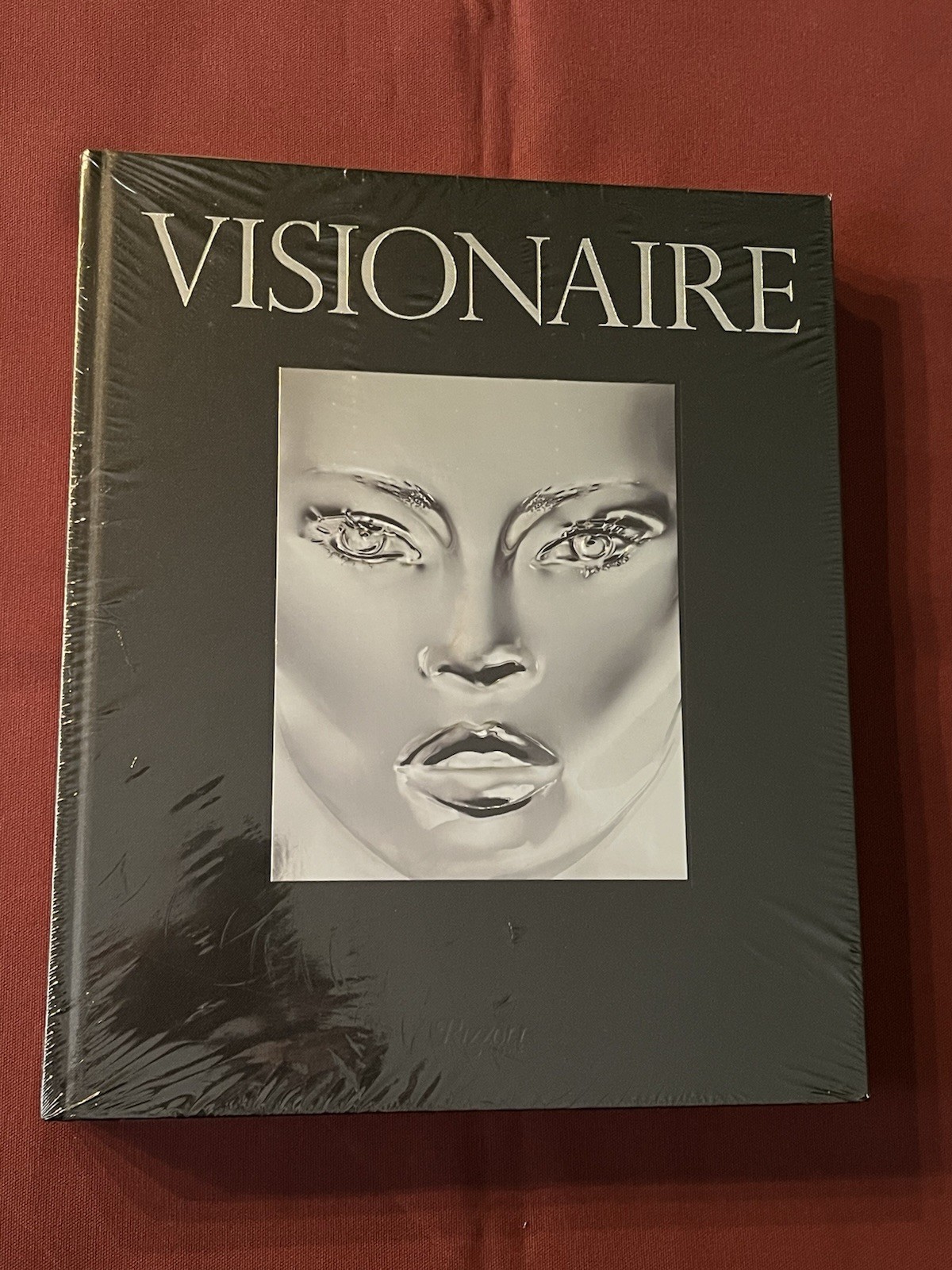 Visionaire Experiences in Art and Fashion (James Kaliardos Cecilia Dean) NWT OOP