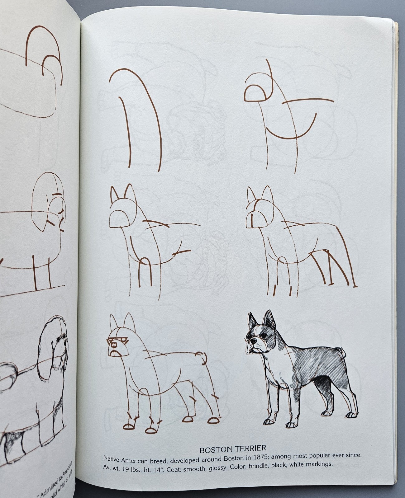 Draw 50 Animals Books Lot Lee J Ames Horses Cats Dogs Step-by-Step Drawing