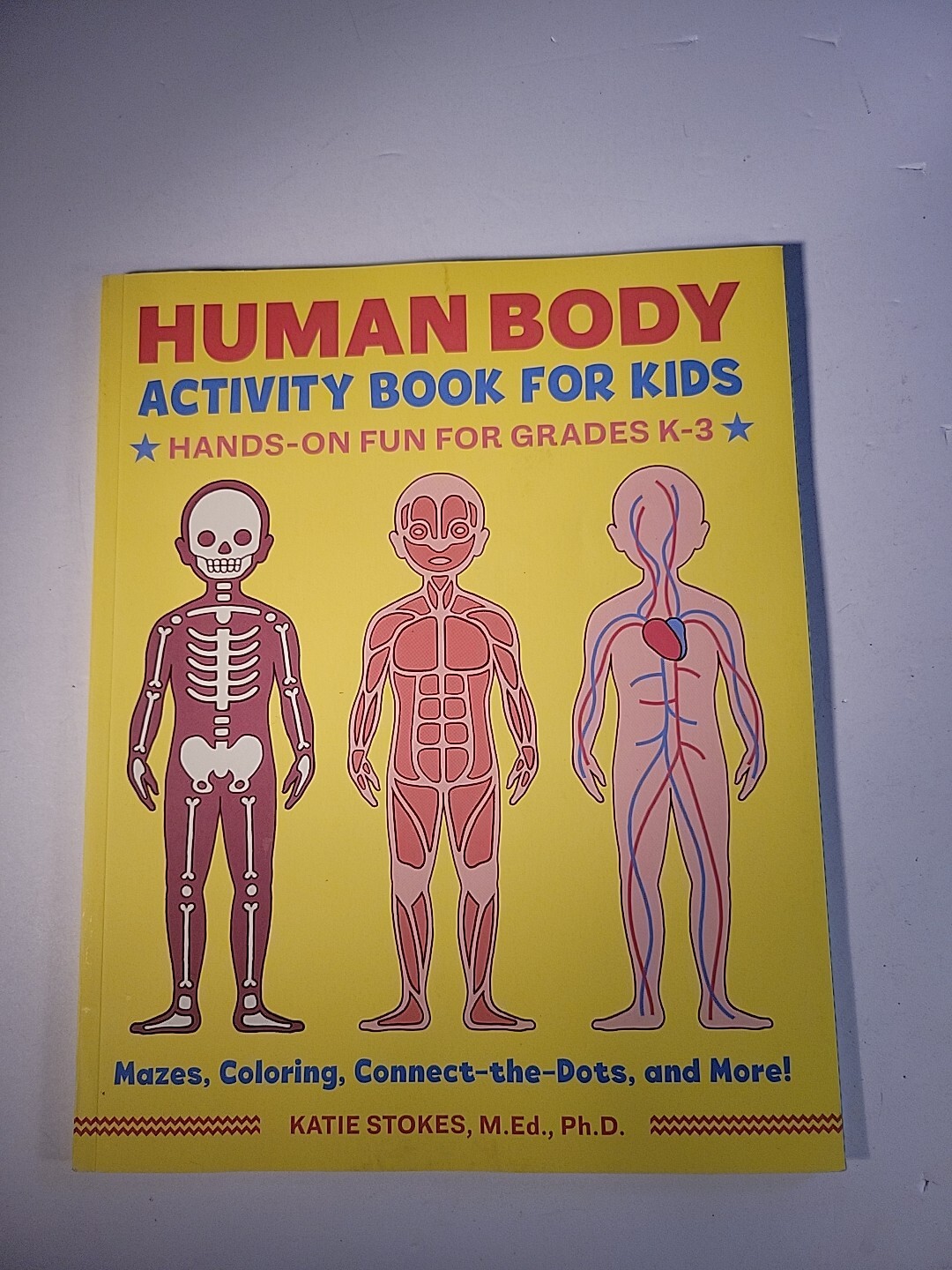 Human Body Activity Book for Kids : Hands-On Fun for Grades K-3 by Katie Stokes