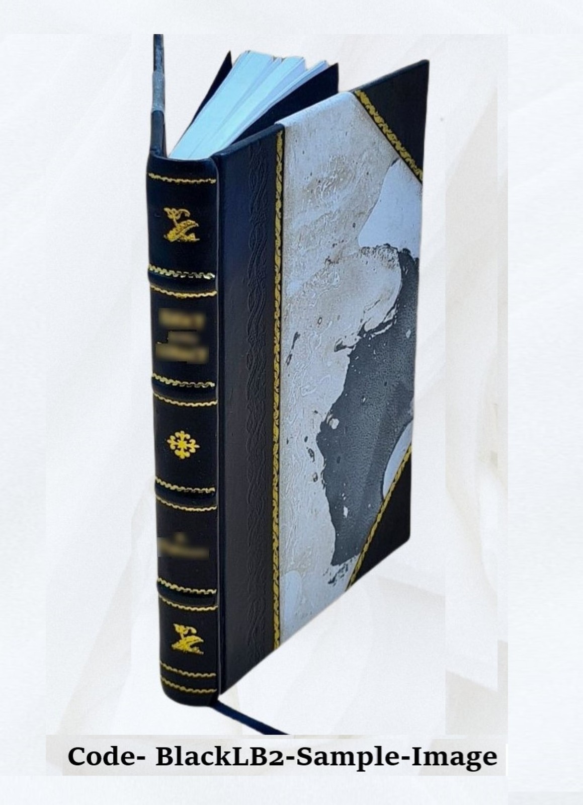 The Secret Of Light 1818 [Leather Bound] By Walter Russell