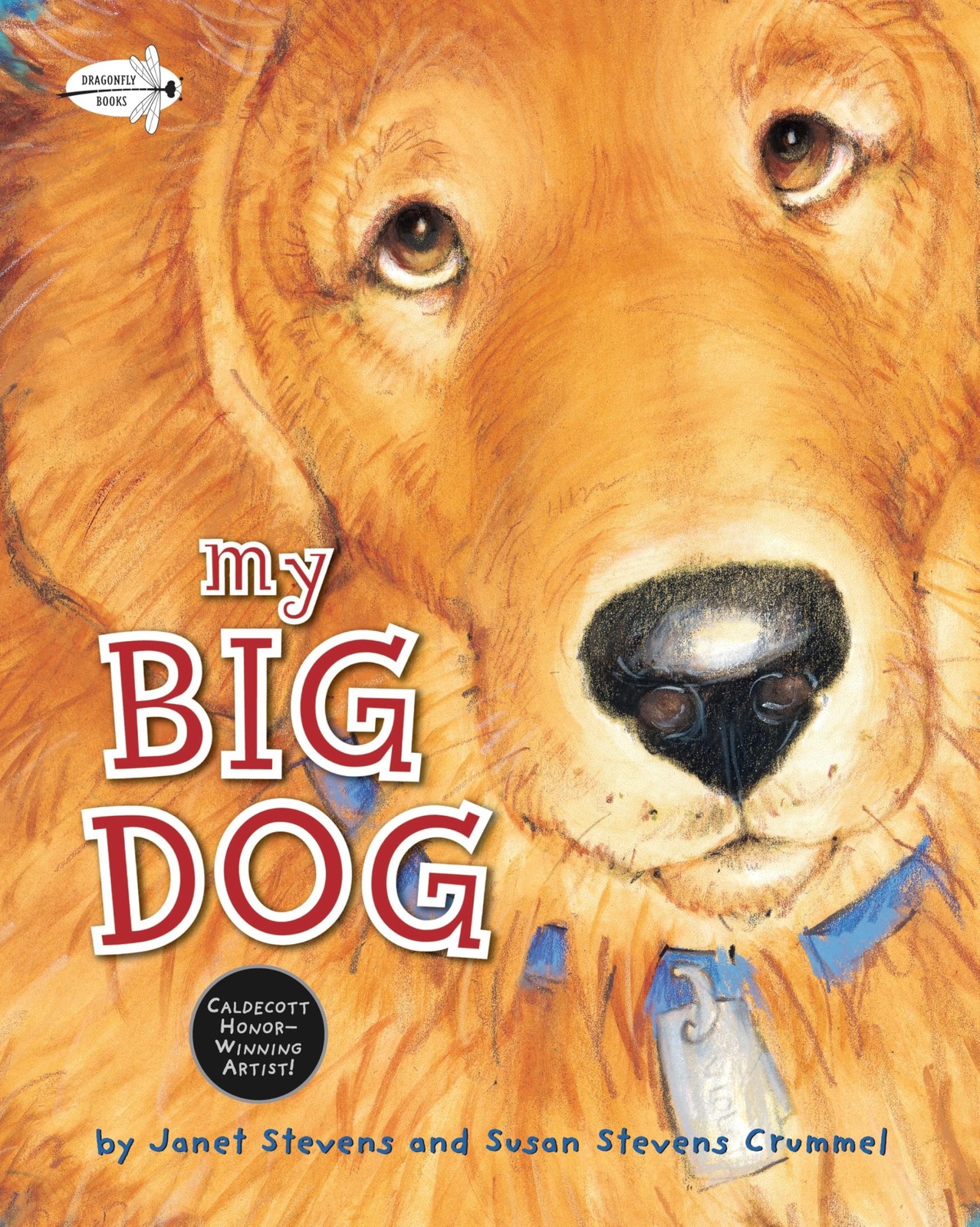 My Big Dog (A Golden Classic) – paperback Stevens, Janet|Stevens Crummel, Su…