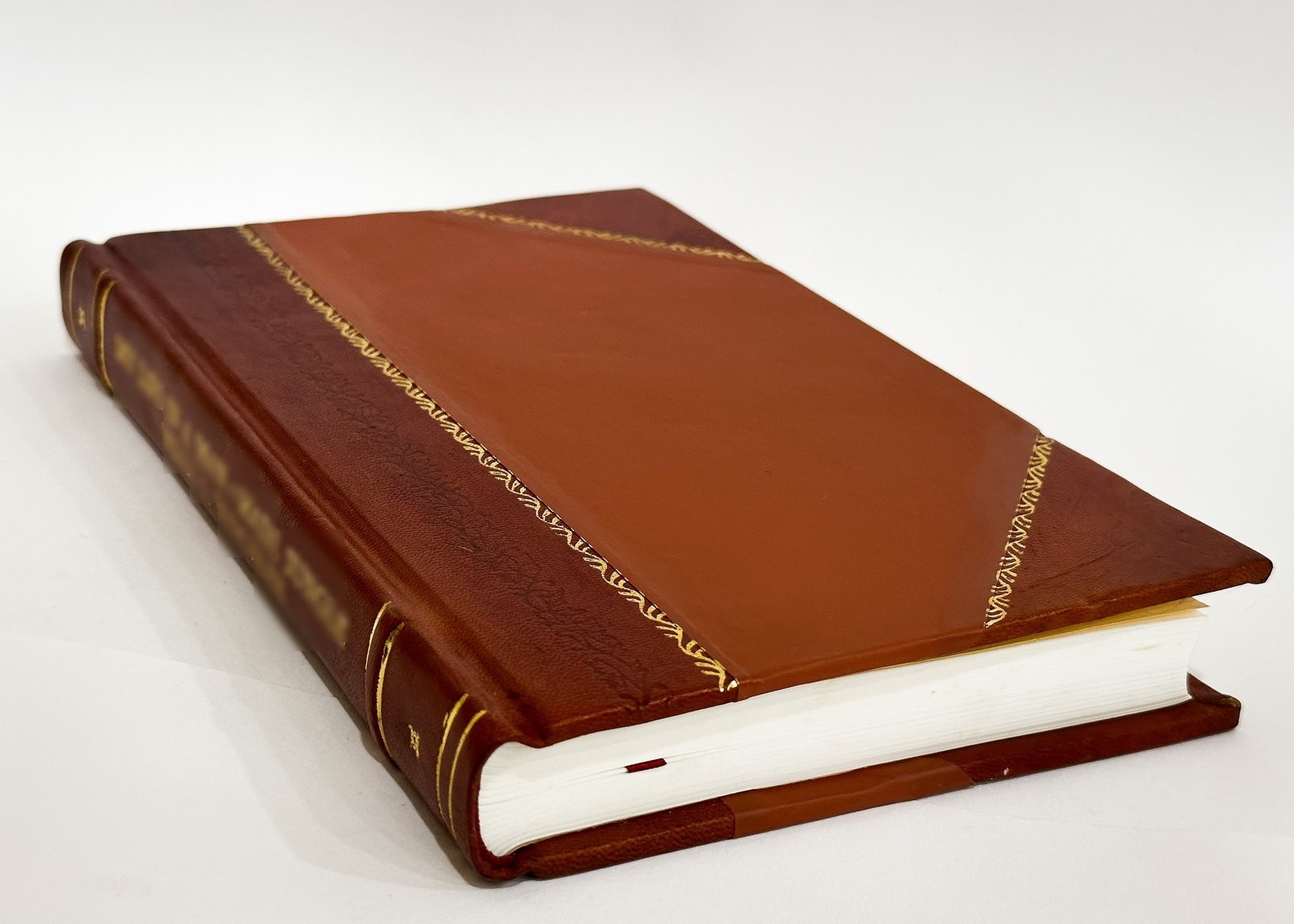 Red Rubber : the Story of the Rubber Slave Trade Flourishing on [Leather Bound]