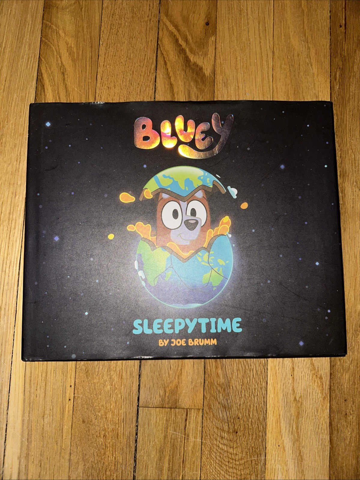 Bluey: Sleepytime by Joe Brumm (2023, Hardcover)