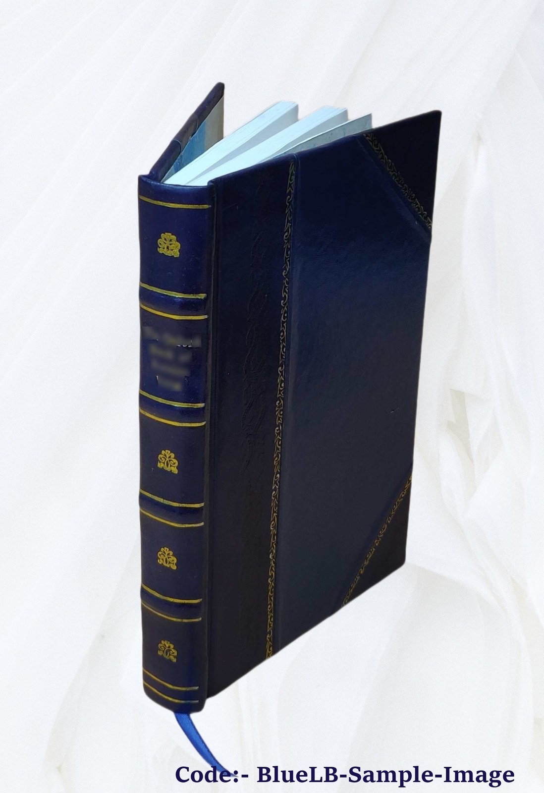 Regula Placitandi: A Collection Of Special Rules For Pleading Fr [Leather Bound]