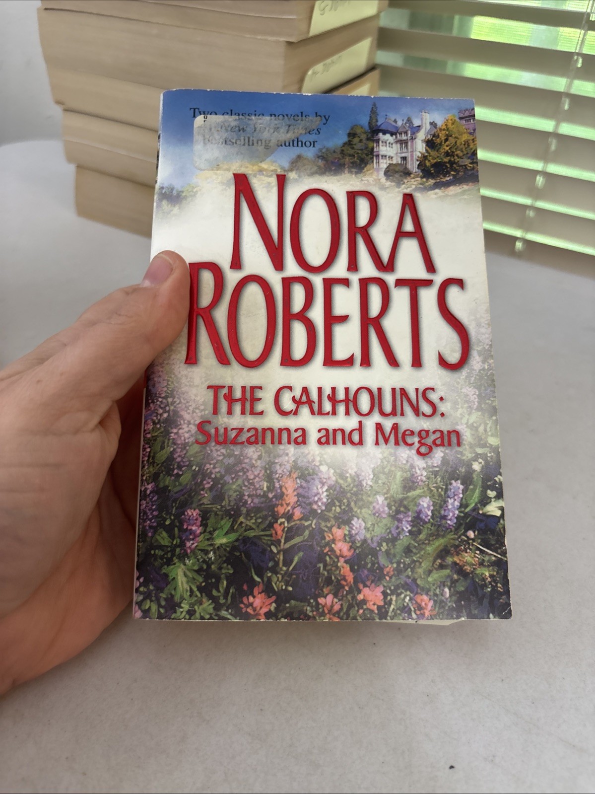 Lot of 10 Nora Roberts: Stolen, Northern Lights and More – Free Shipping