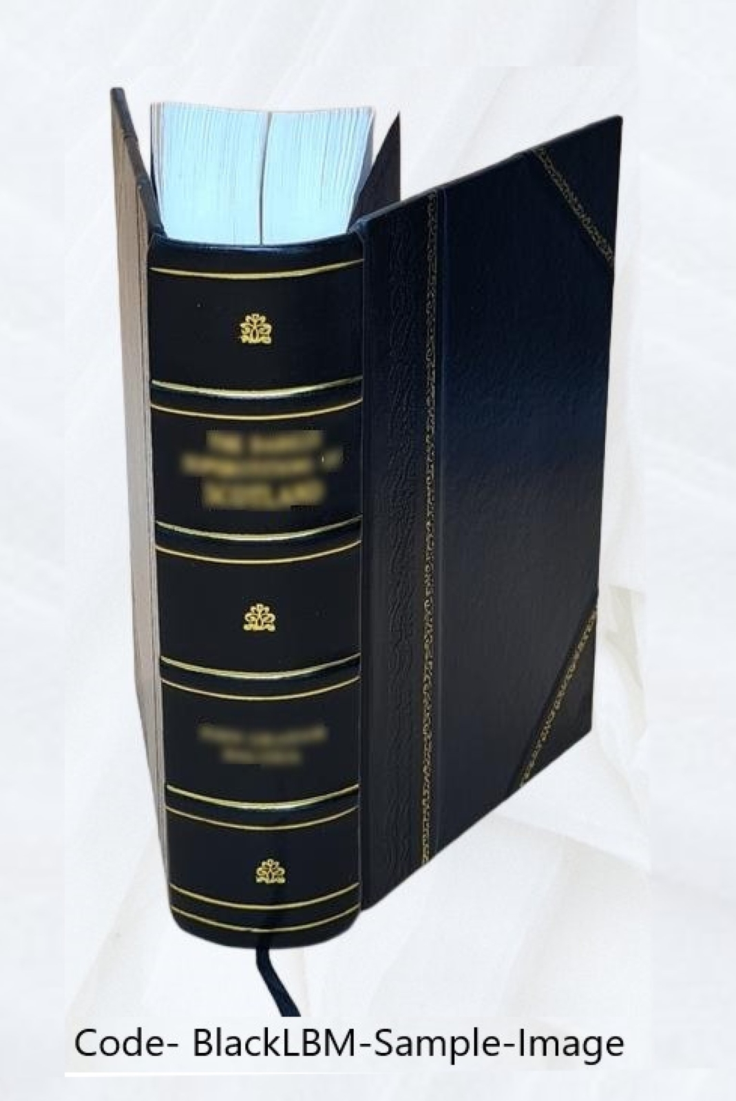 Parliamentary debates: 313 = 31.3./25.4. 1887 = 50th Victoriae, [Leather Bound]