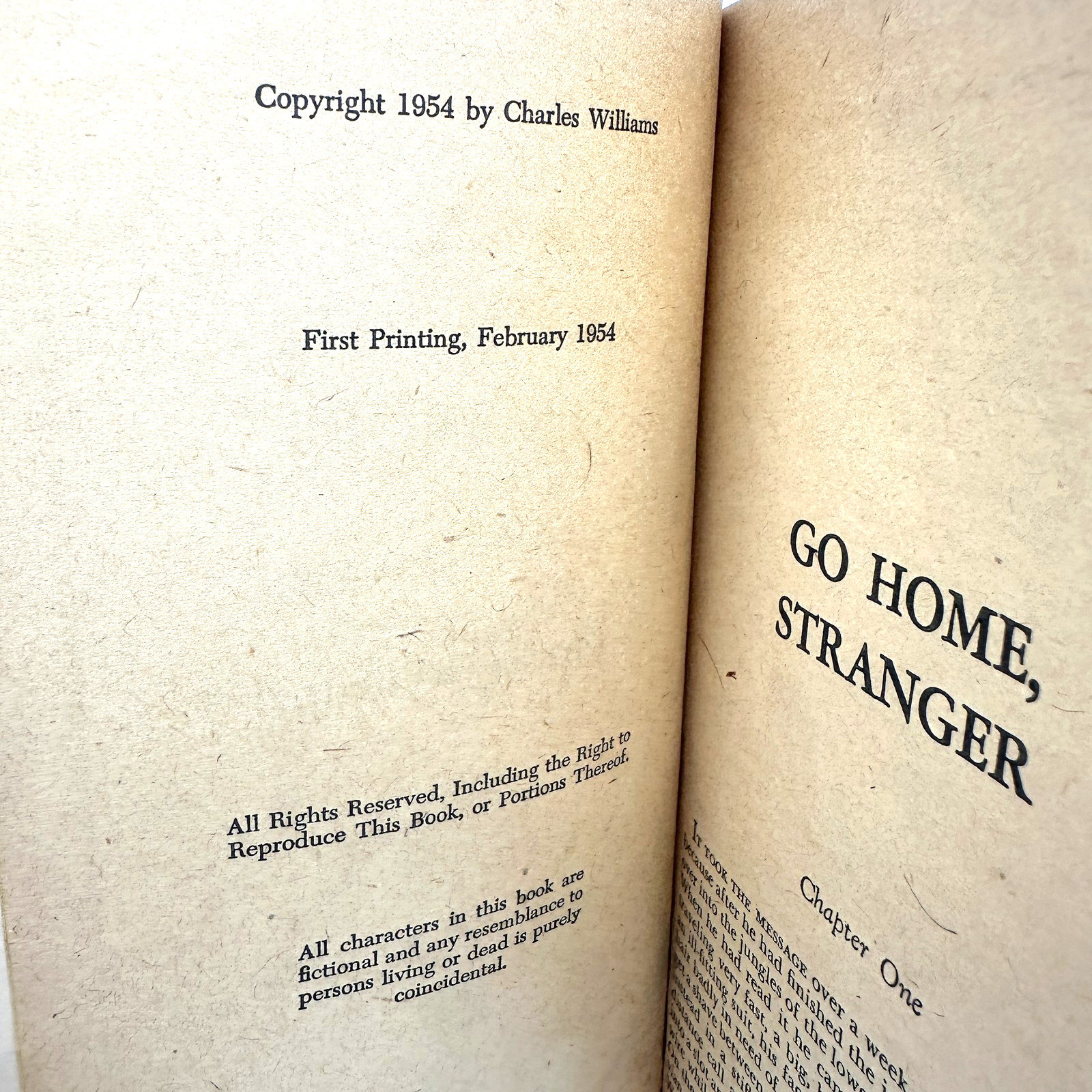 Go Home, Stranger by Charles Williams 1954 Gold Medal Book First Printing
